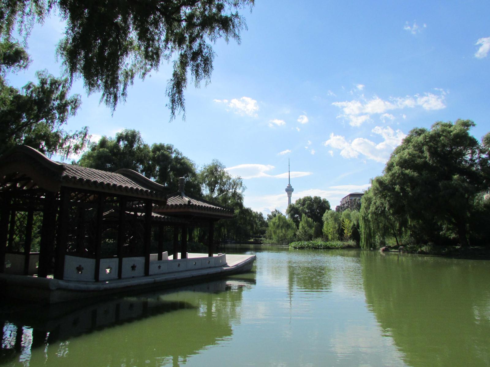 湿地保育区 (1).JPG