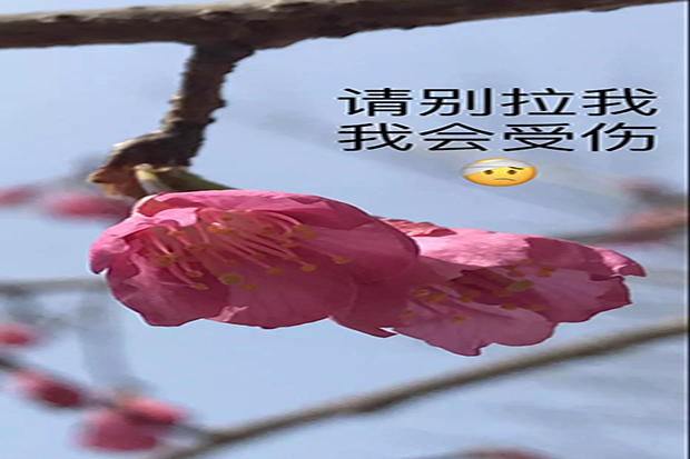 微信图片_20190.jpg 微信图片_20190.jpg