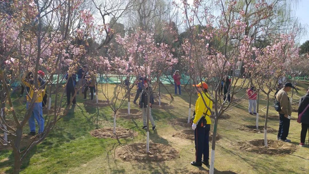 微信图片_20190319082706.jpg 微信图片_20190319082706.jpg