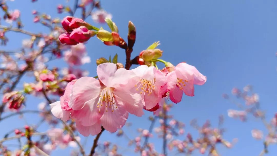 微信图片_20190319082444.jpg 微信图片_20190319082444.jpg