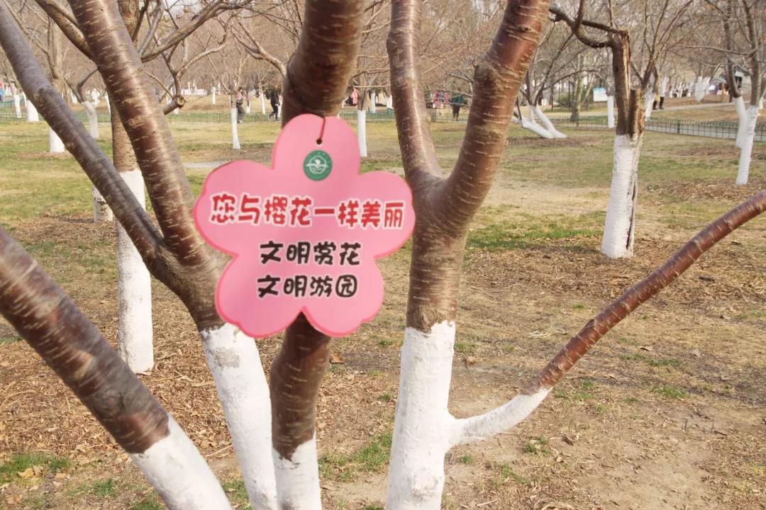 微信图片_20190319083928.jpg 微信图片_20190319083928.jpg