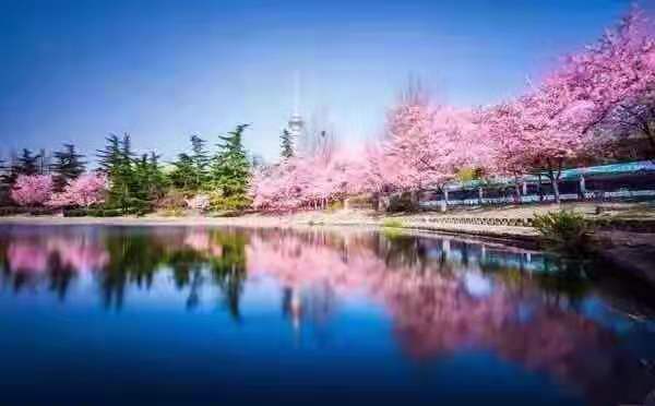 微信图片_20190319084106.jpg 微信图片_20190319084106.jpg